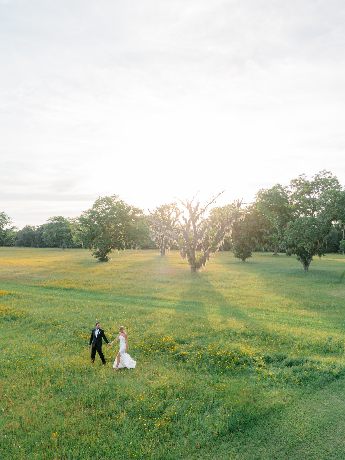 Bride and groom walking in field of yellow flowers during sunset at Agape Oaks. Beaufort weddings.