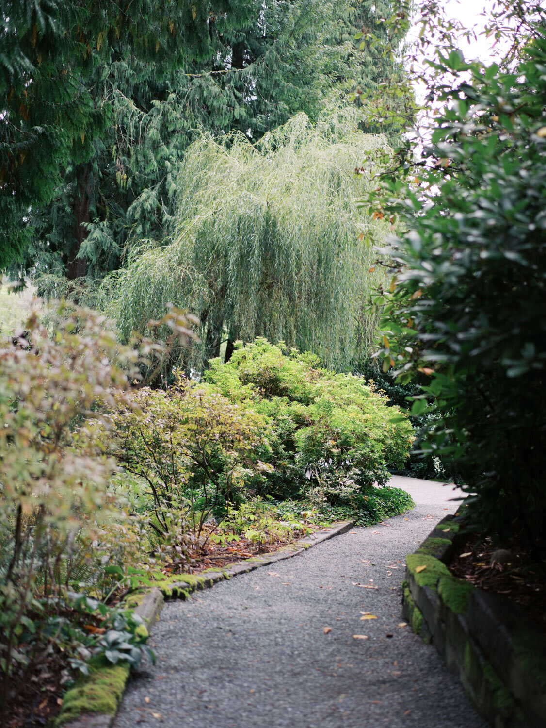 Curved gravel pathway surrounded by dense greenery