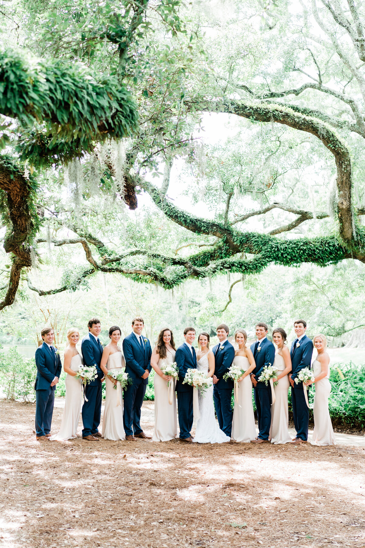 Bridal party standing under Spanish moss in Alabama