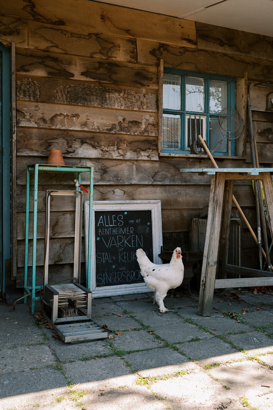 FotostudioFlora_Sengersbroek-46