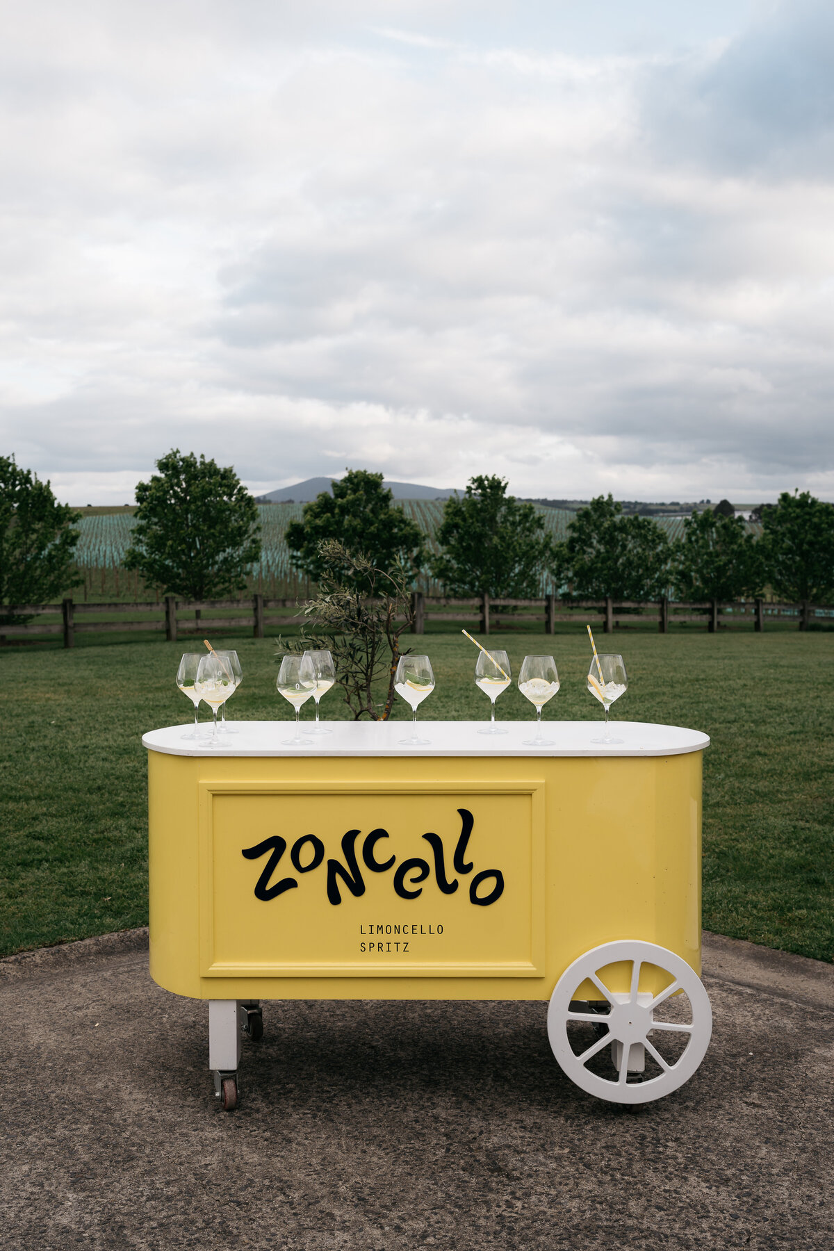 Zonzo Estate, Courtney Laura Photography, Yarra Valley Wedding Photographer, Jaclyn and Fletcher-764