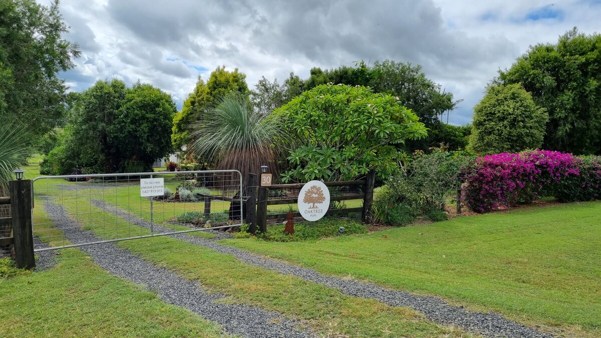 farmstay-dogs-schnoodle-breeders-schnoodle-puppies-nsw35