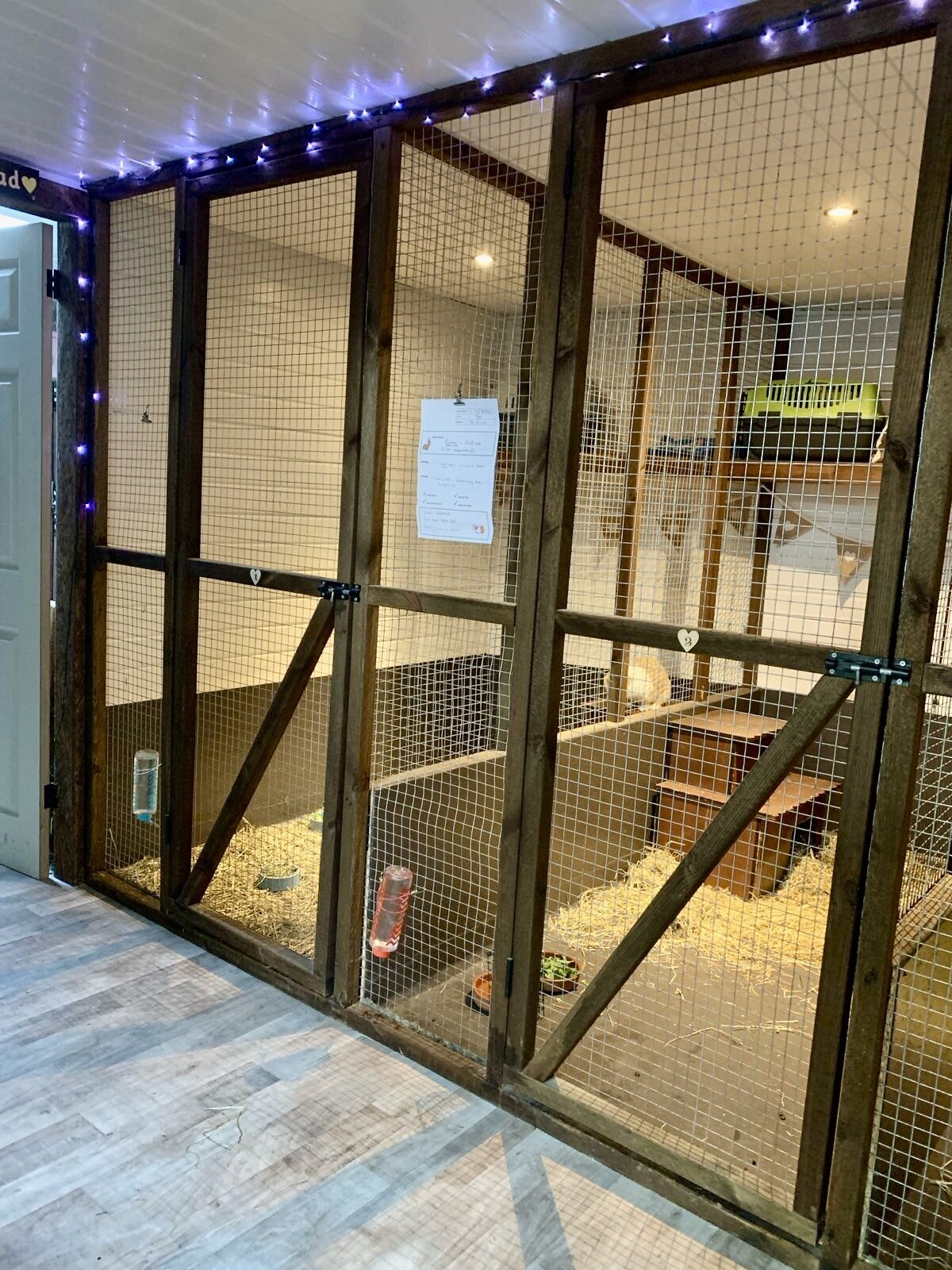 WhatsApp Image 2025-10-17 at 11.47.44