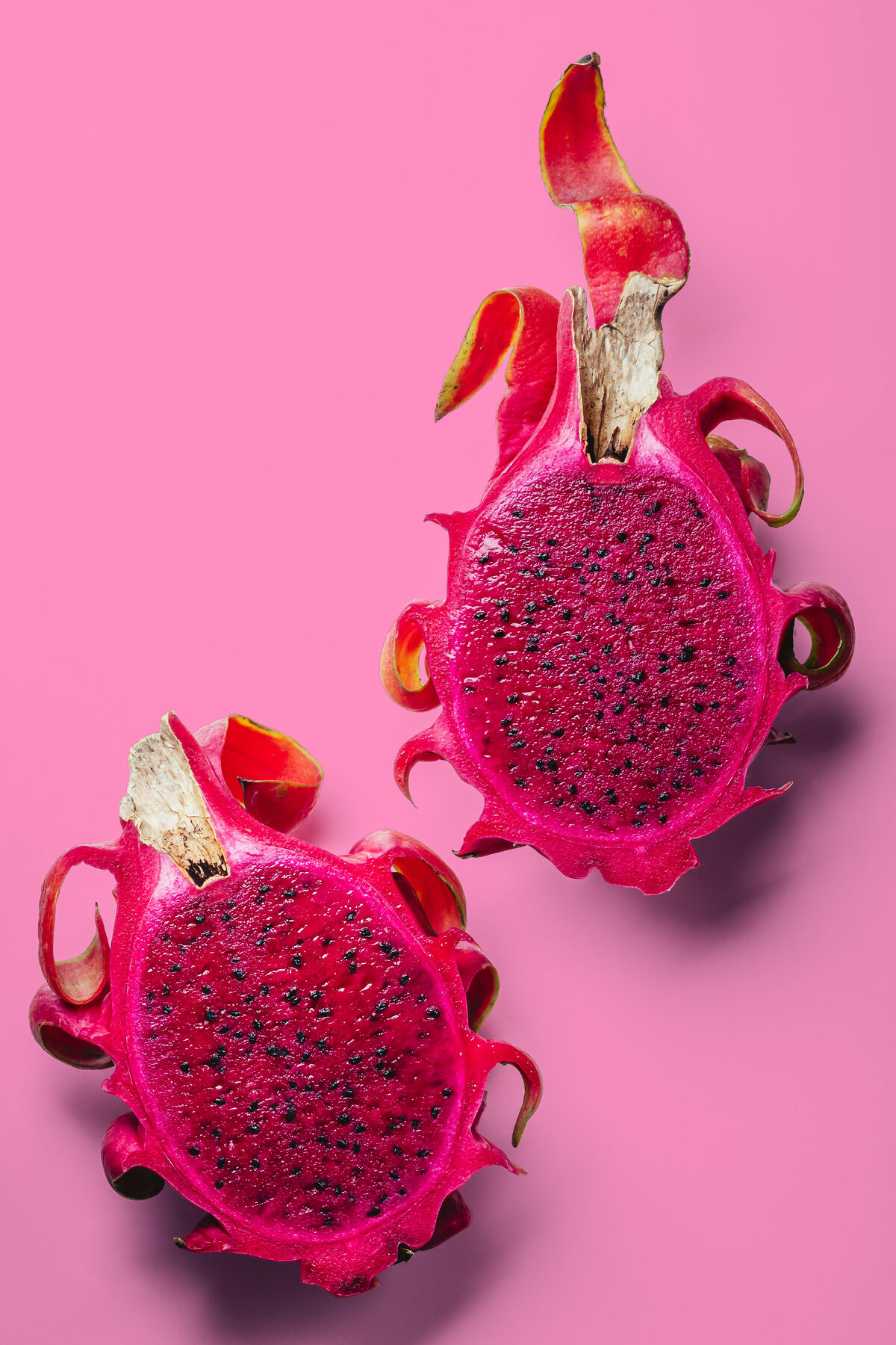 Pink Dragon Fruit-MARTA WOJCICKA