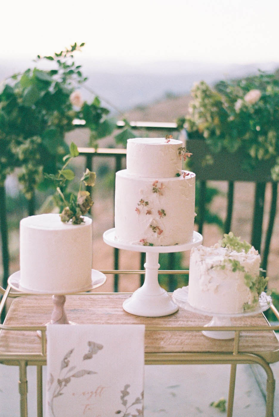san-diego-wedding-cake-idea