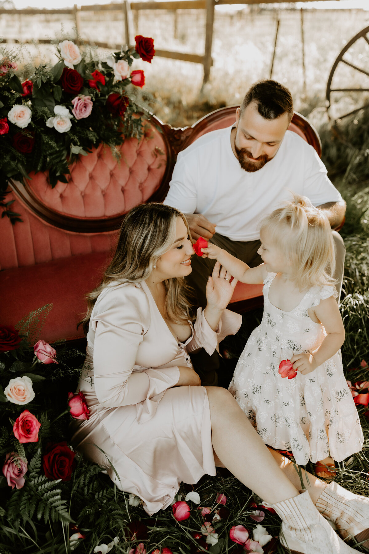 Aly Haydon Photography-548