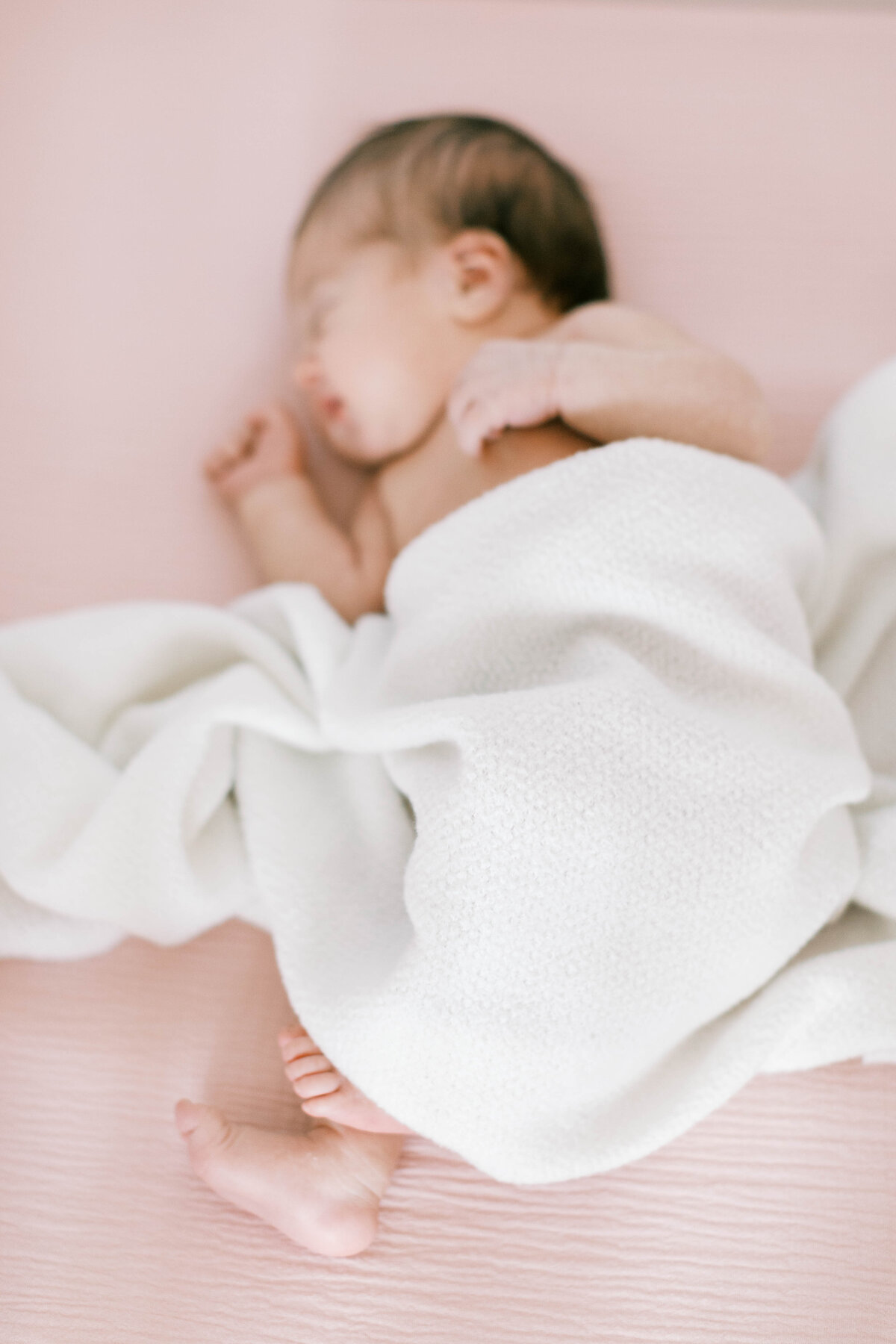 winston-salem-newborn-photographer2