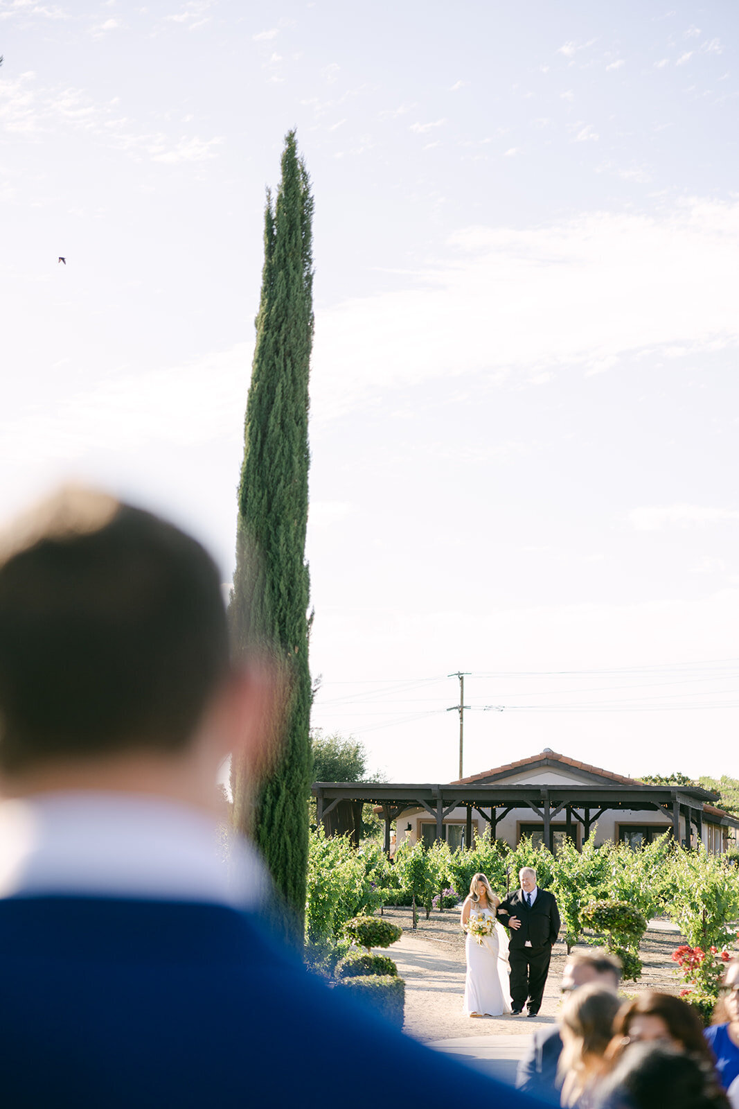 Avensole_Winery_Wedding_Photographer_49