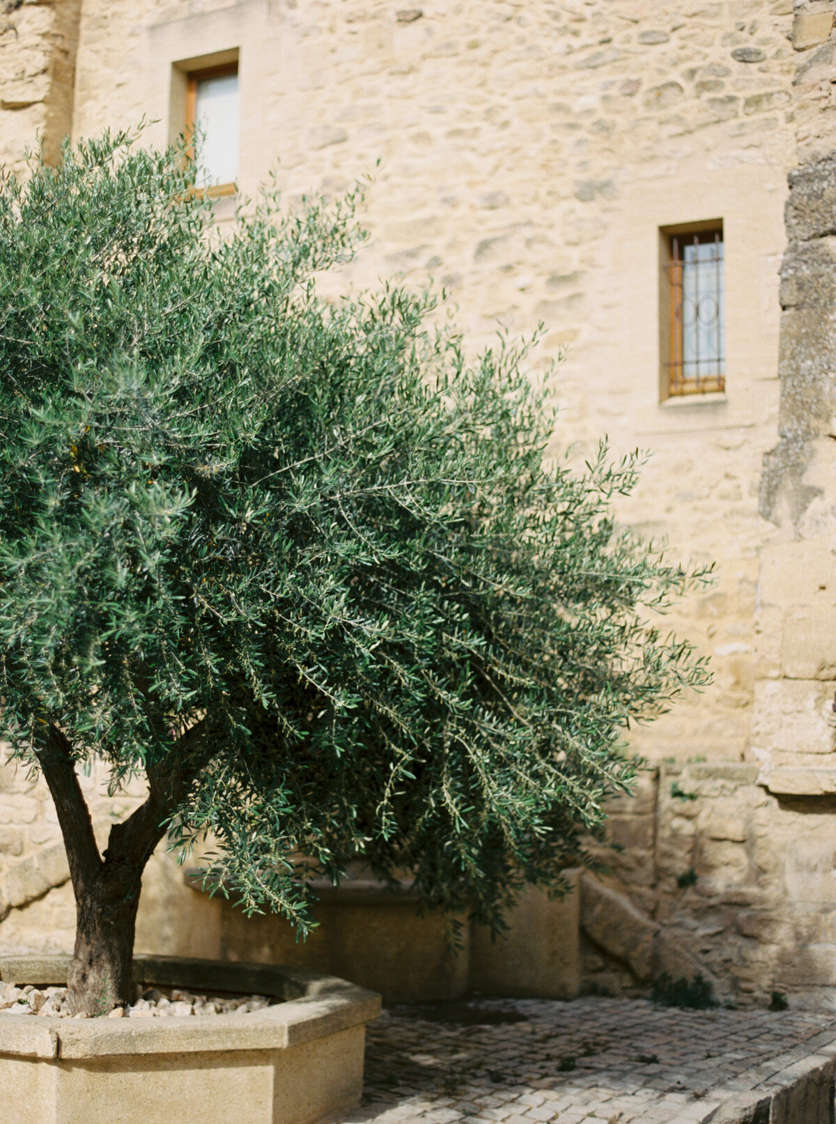 Provence-7