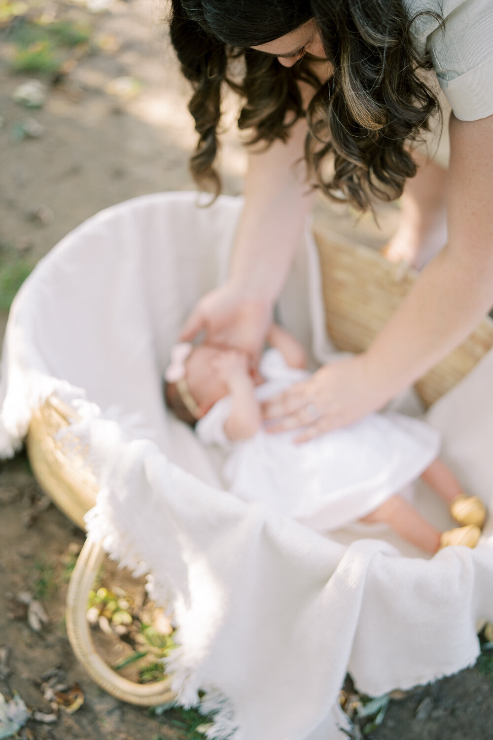 penfield, ny family photographer