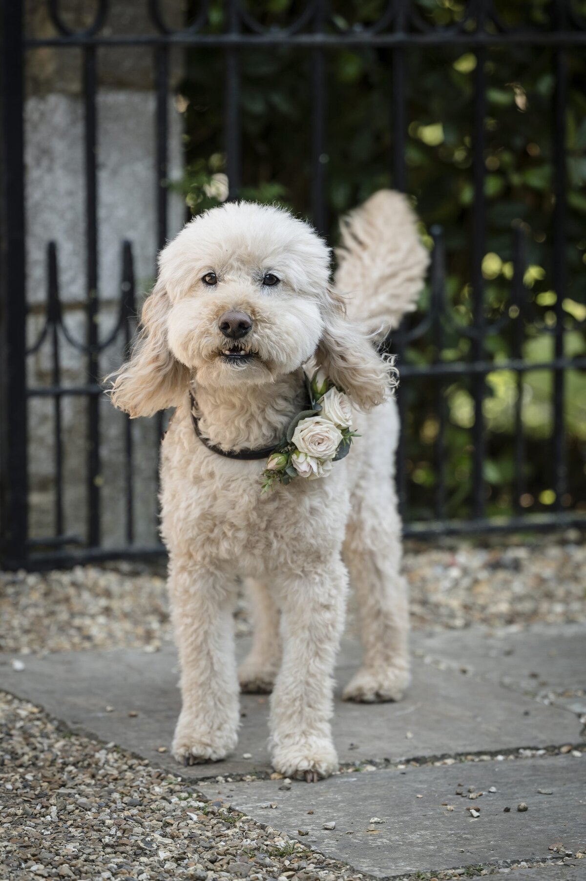 Wedding-photography-portfolio-1056