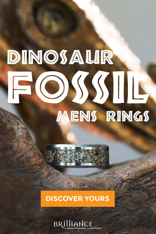 Dino-Pins-discover-yours