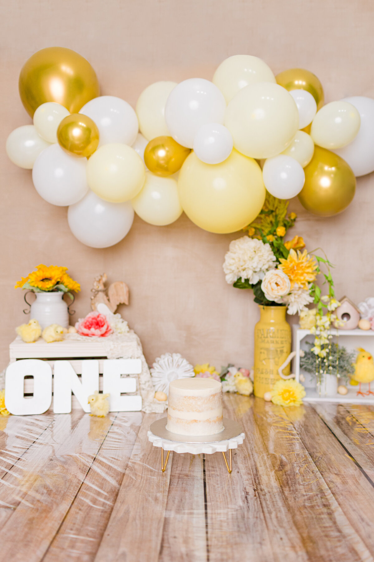 Aria Molzon First Birthday Cake Smash-1