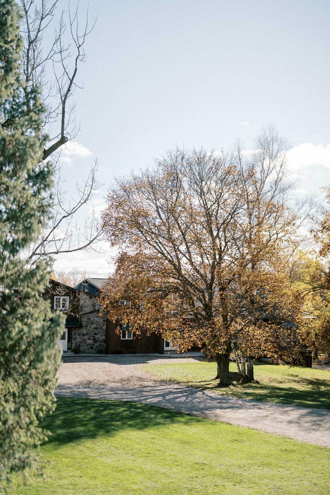 W11-Wedding-Photos-Caledon-Valley-Estate-Eleanor-and-Michael-2024-11-02-2500px-1057