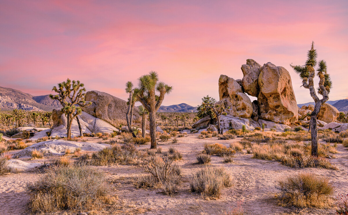 AdobeStock_555251447