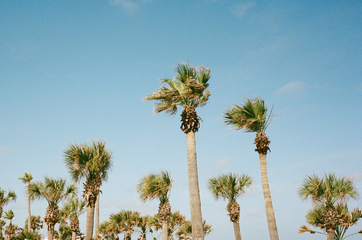 mackenziekatephoto-1723