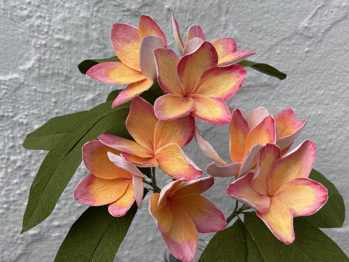 Paper flowers