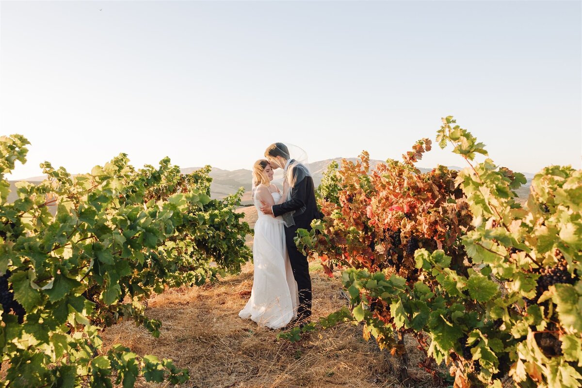 nella-terra-cellars-sunol-wedding-abigail-jeff-ashley-carlascio-photography-0728_websize