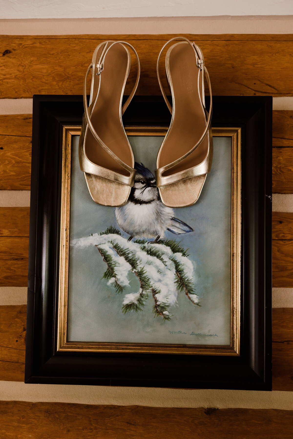 Gold shoes on a framed print at Dallenbach Ranch Colorado Wedding