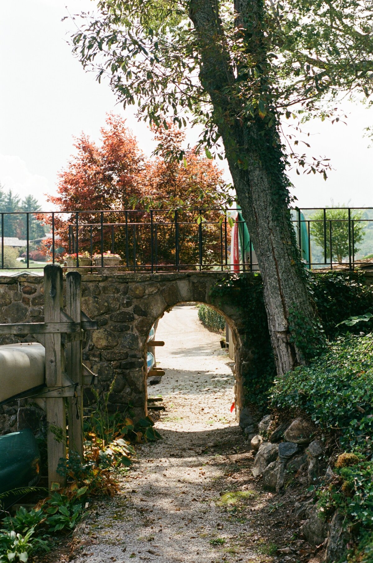 kodak_400_c_41_9908_106236_238636_000011450032