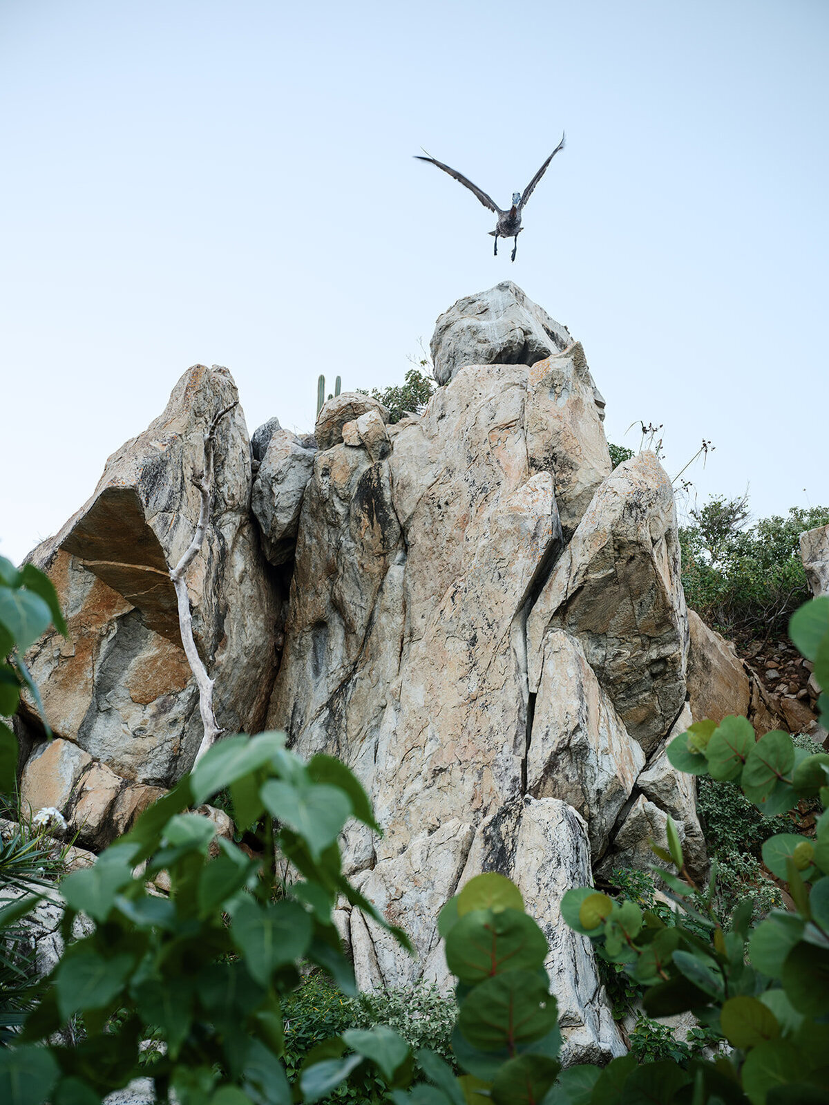 Peter Island-298