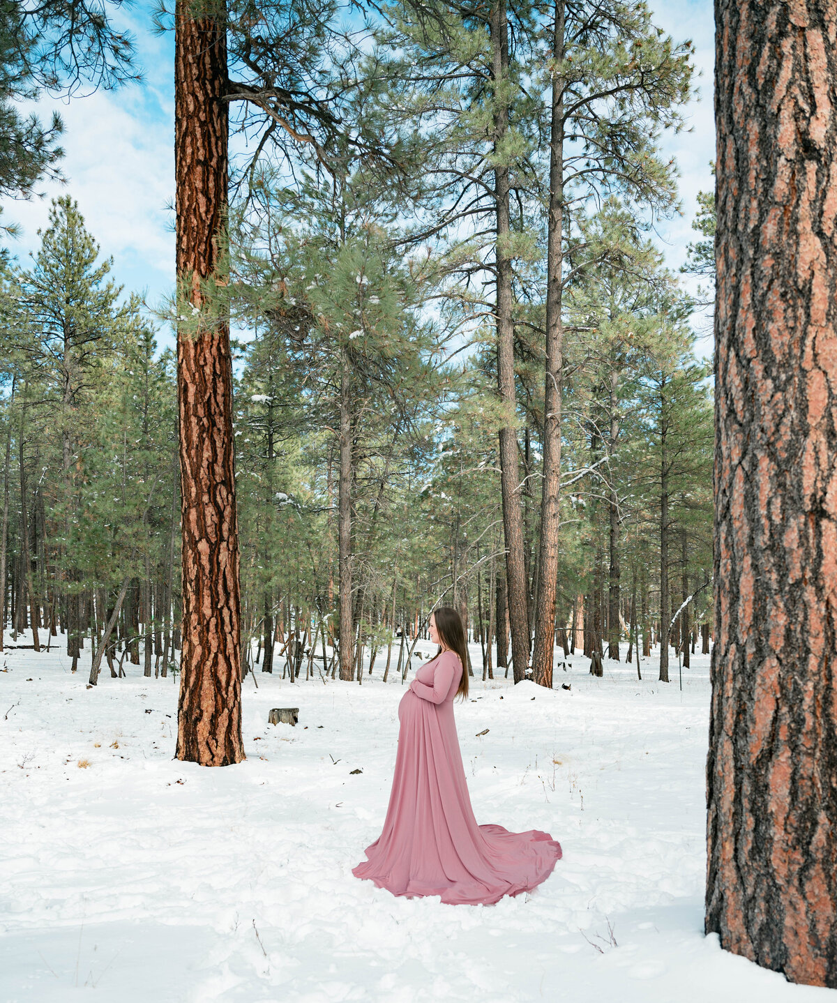 Arizona Maternity Photography