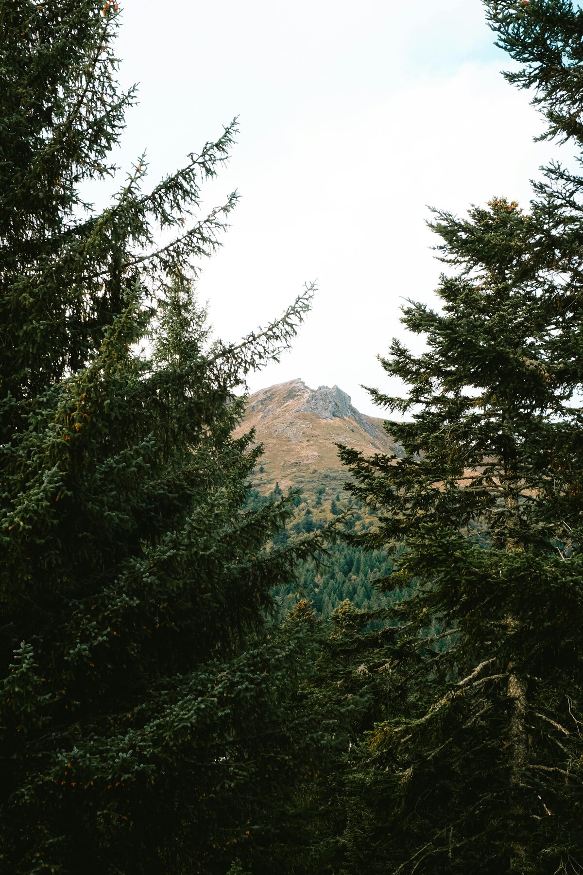 pexels-matreding-18827671