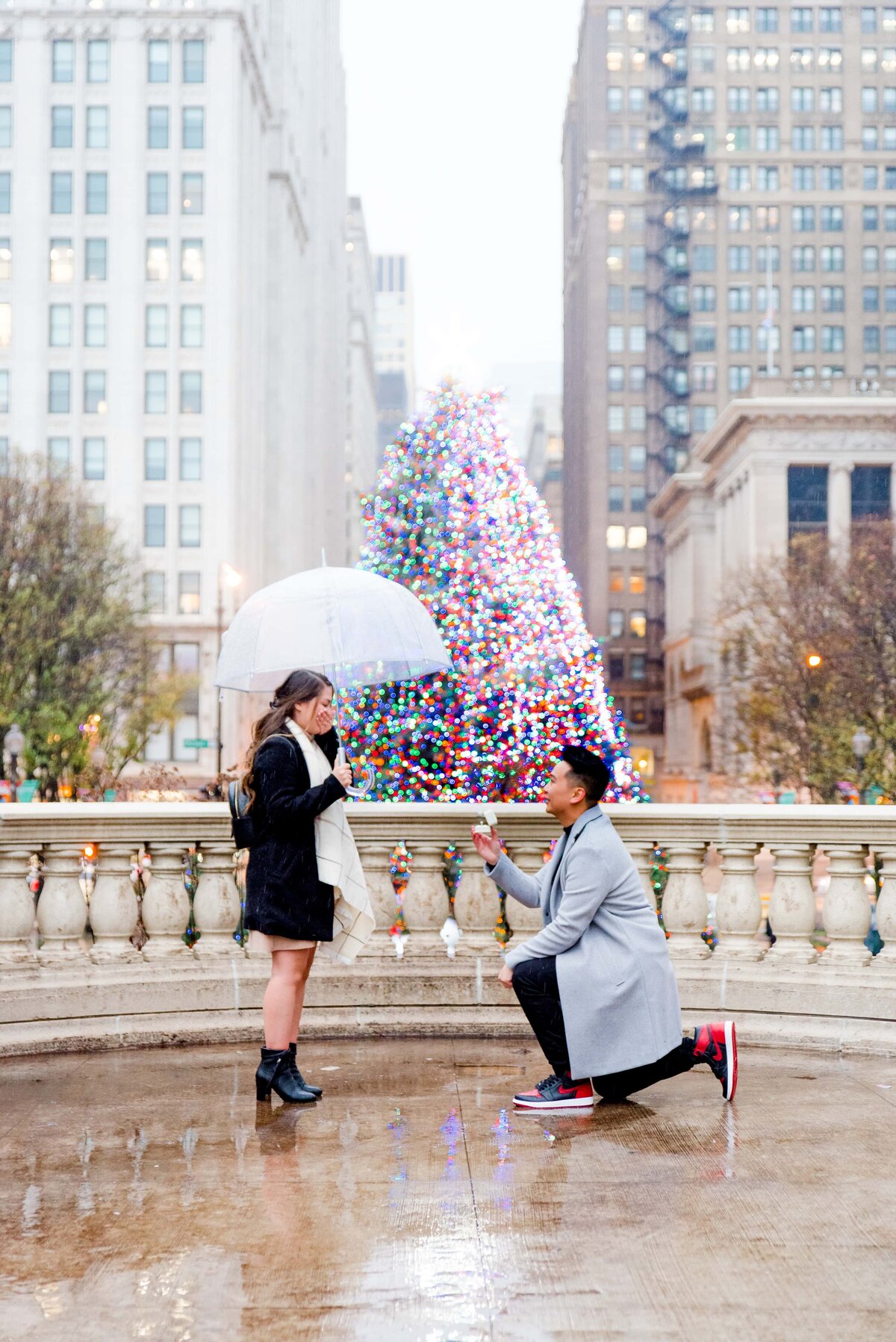 Chicago Proposal Photographer-18