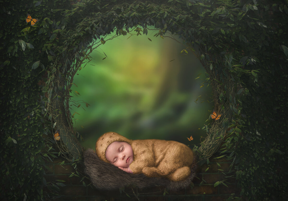 Newborn posed and sleeping during her newborn photography session in Ottawa Ontario