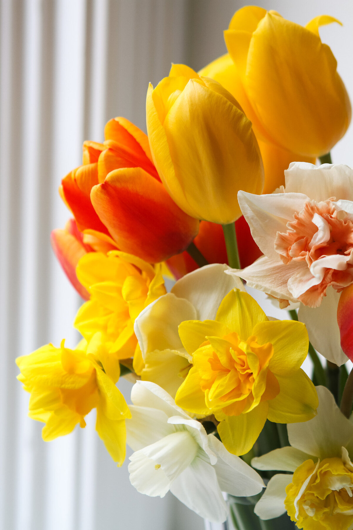 tulips-daffodils-garden-flowers