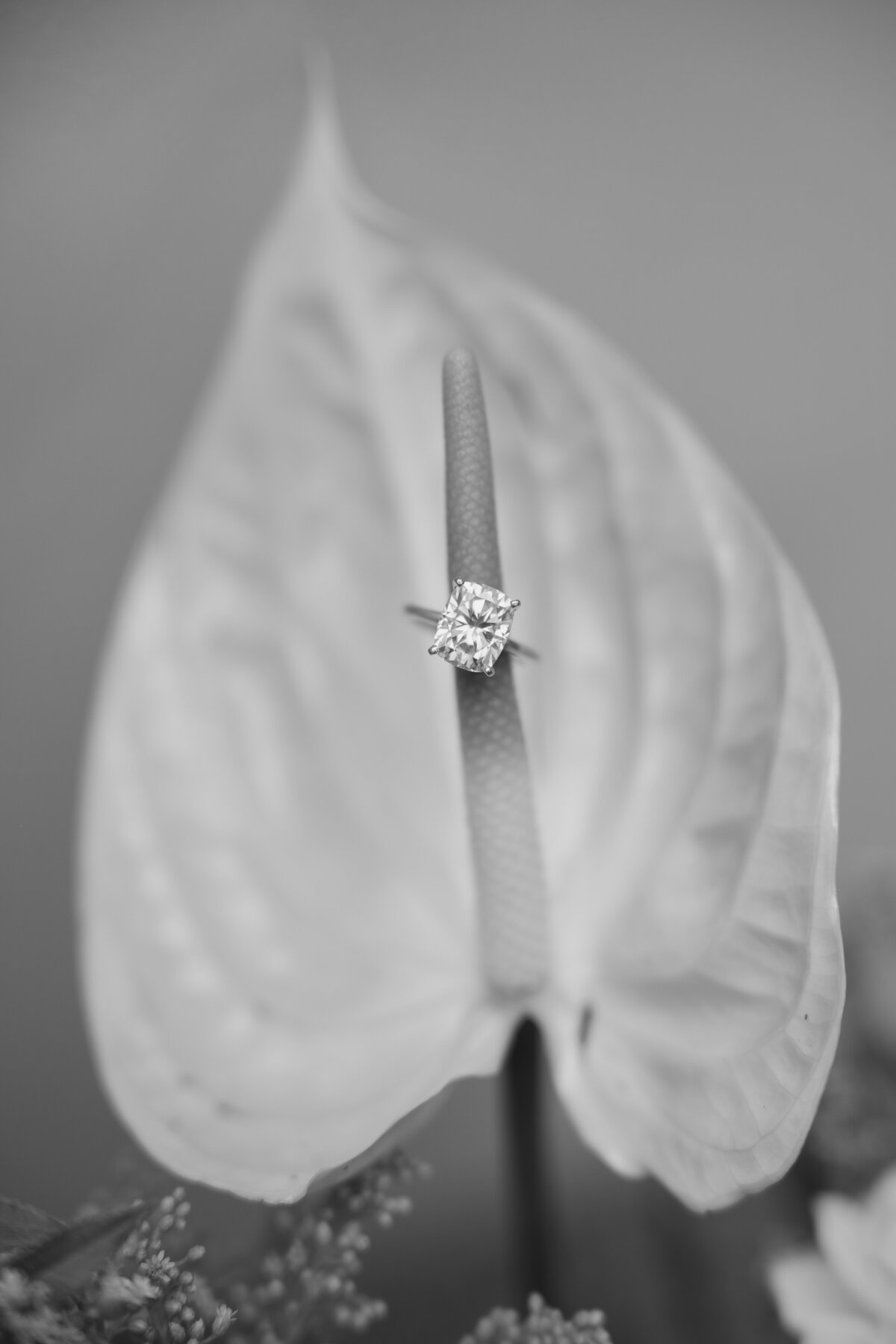 los-angeles-california-wedding-photographer