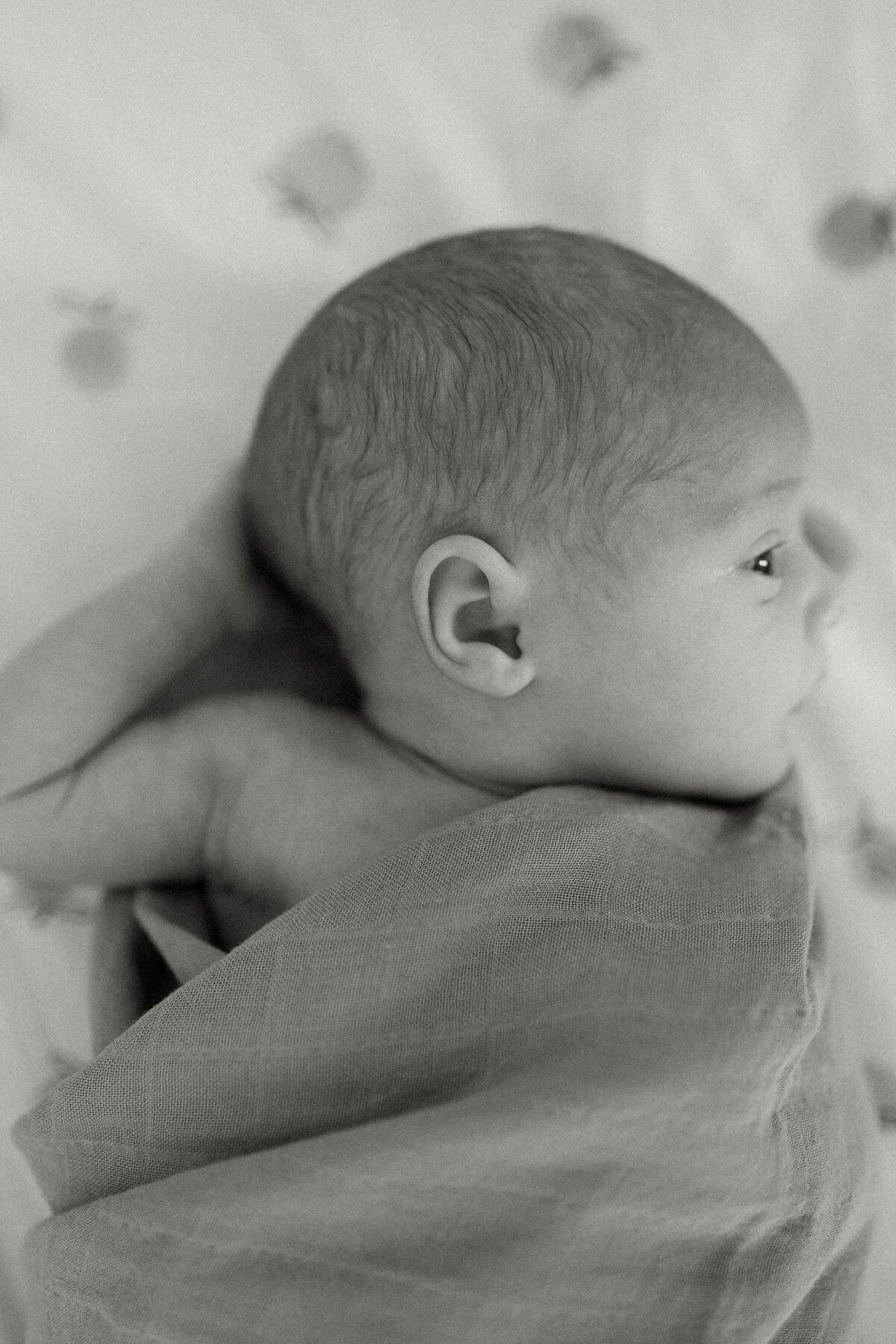 rochester ny newborn photography