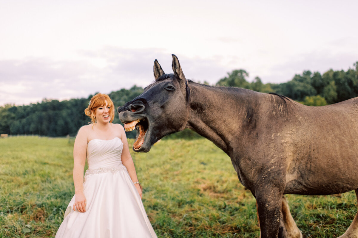 Bride with Horse