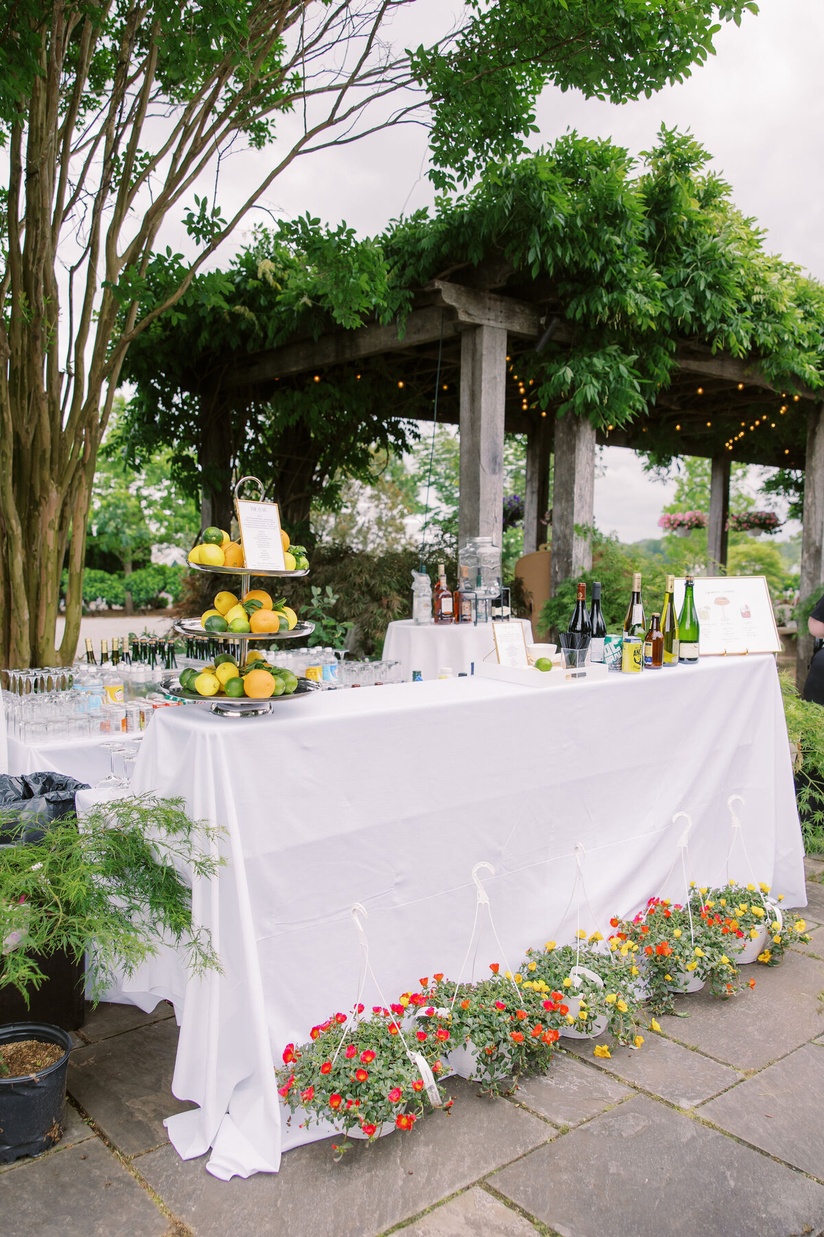 CocktailHour_DJWedding_MaddyWilliamsPhotography.jpg-21