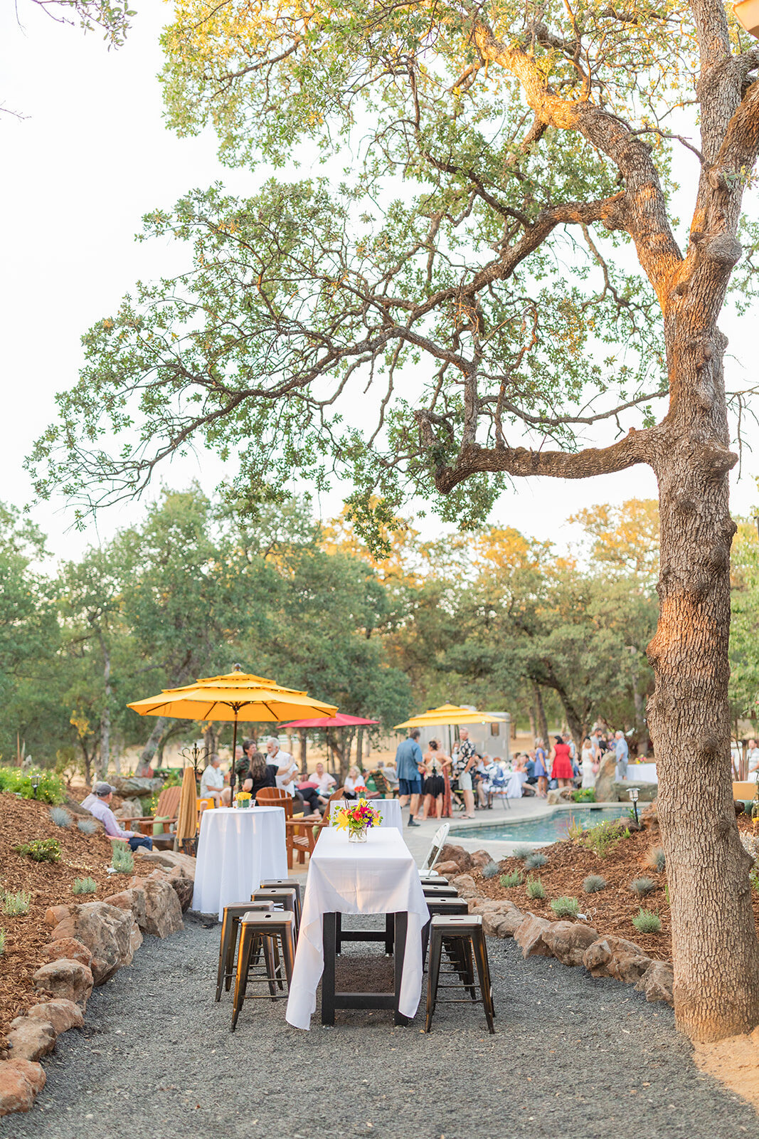 W-V+S060521-9586_websize