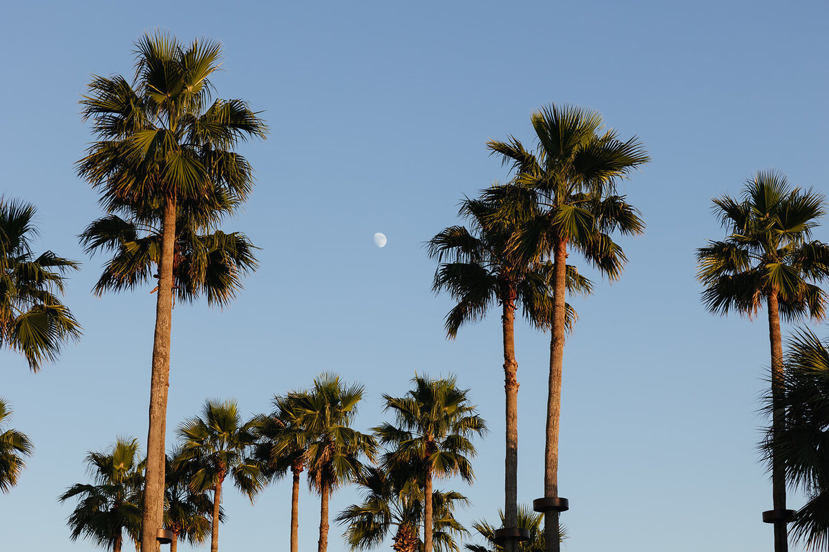 meliandchrisphoto_AD_preview-81_websize