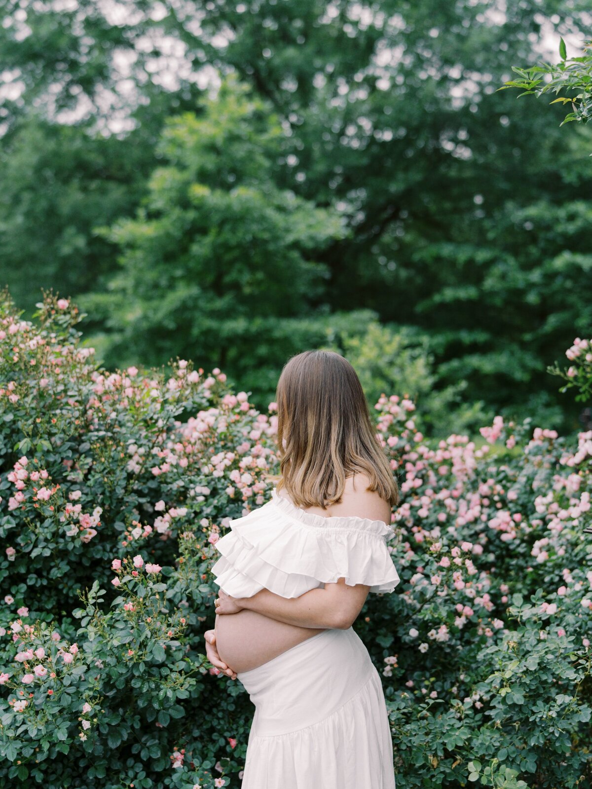 rose-garden-maternity-photos-northern-virginia-maternity-photographer6