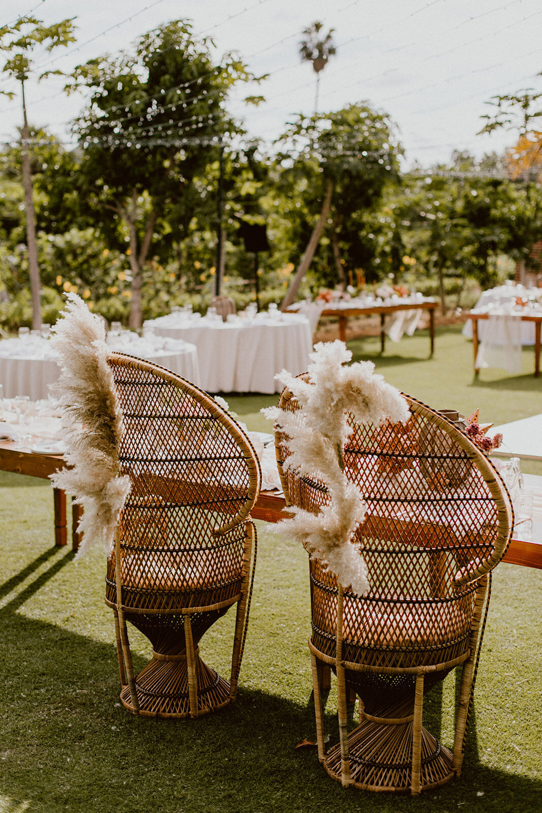 weddings in cabo 136