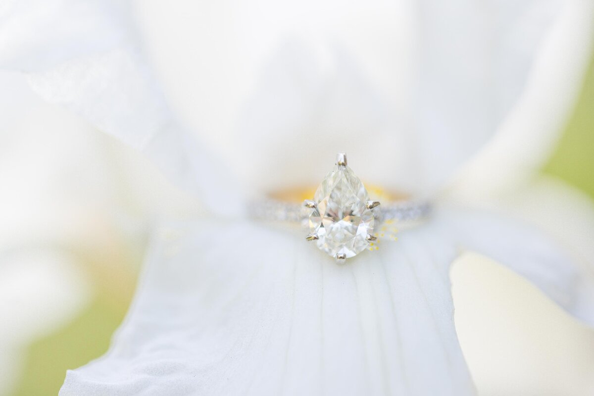Steven&Morgan_Engagement-8