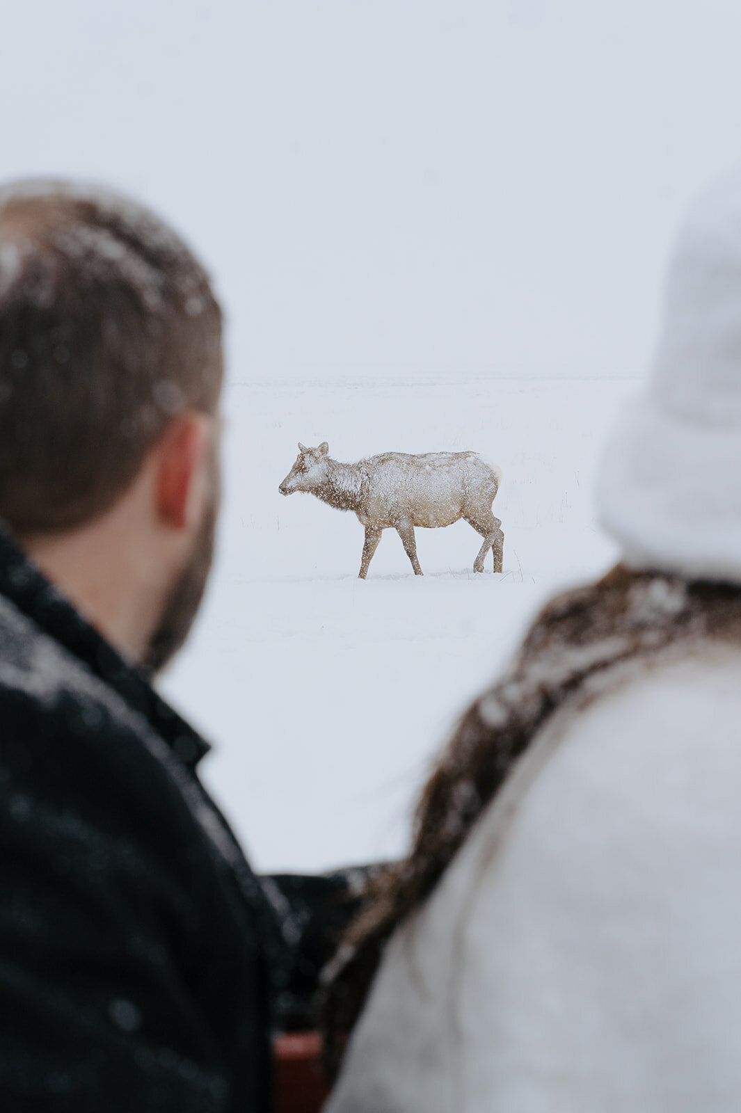 Winter-Elopement-B-T-245