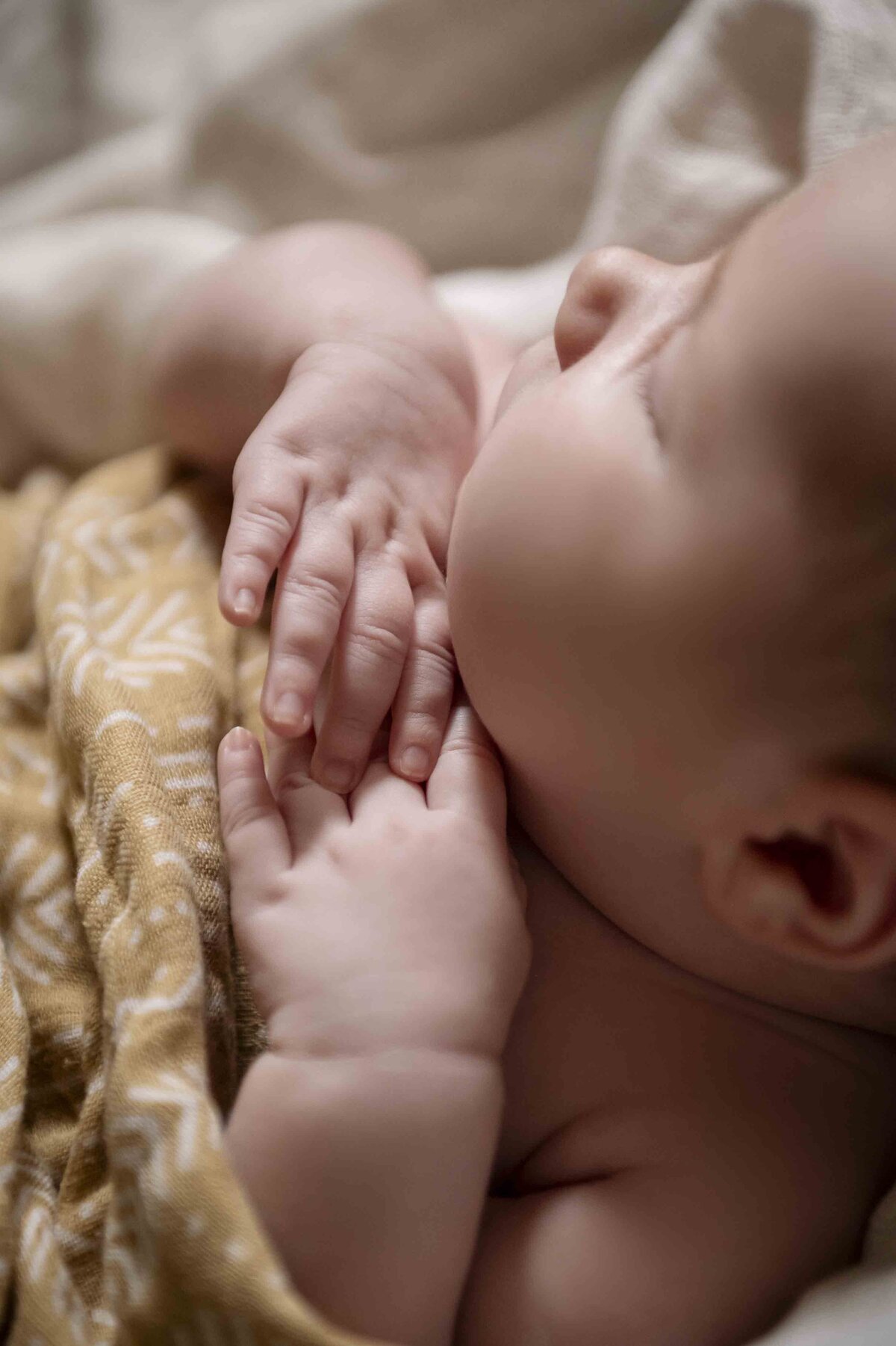 SS_Poppy_Newborn-109
