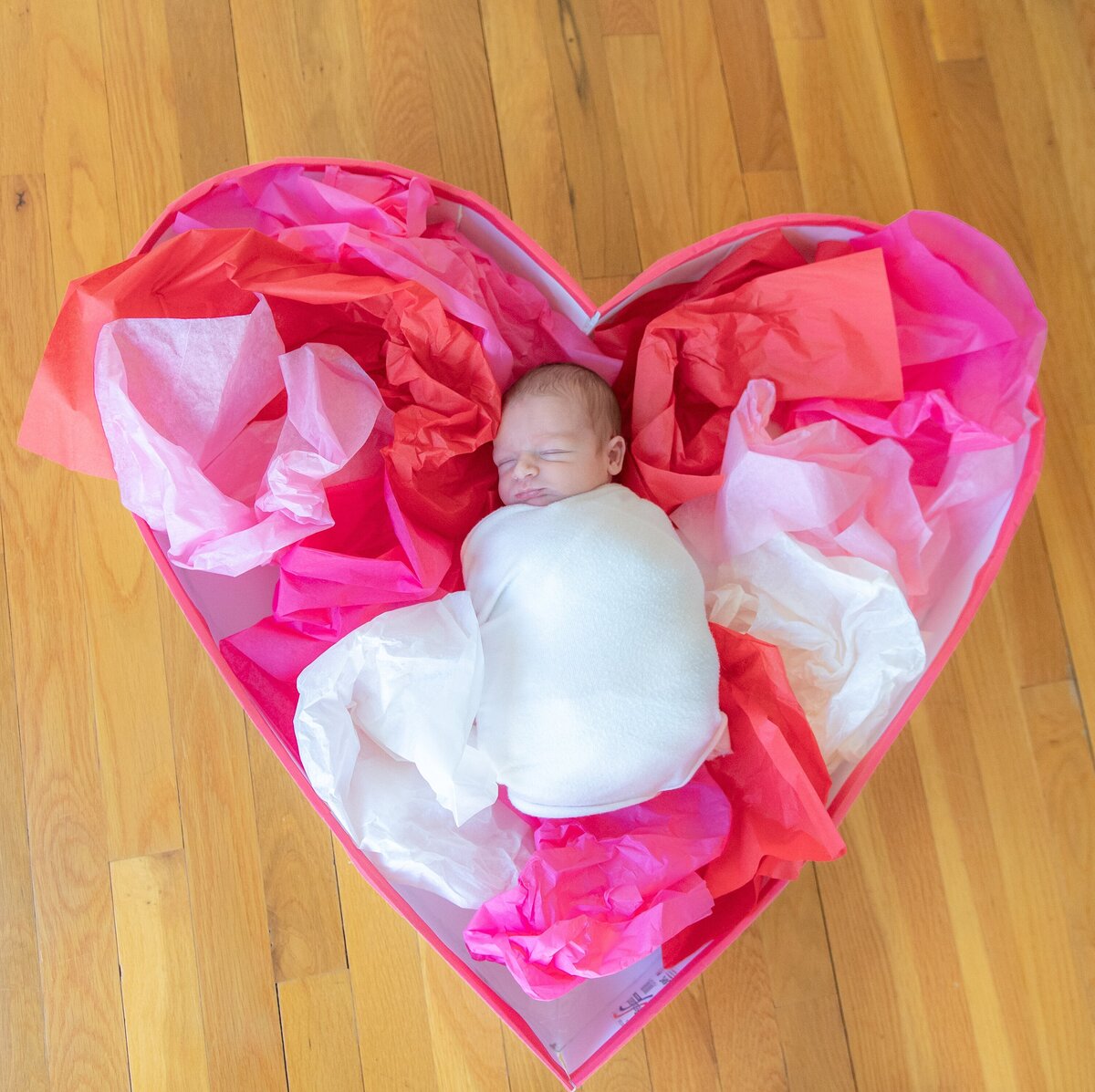 hunter-newborn-tristate-new-jersey-family-newborn-maternity-photographer_0528