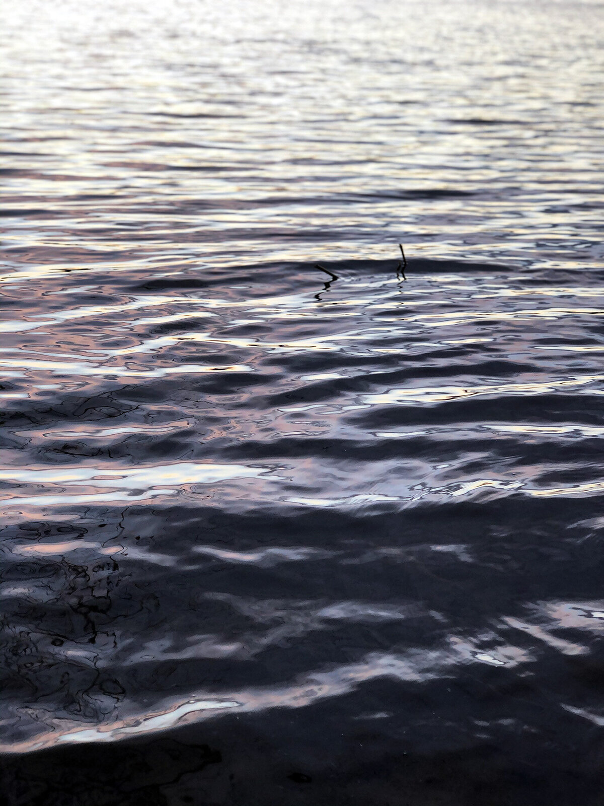 CCC_Estuary_37