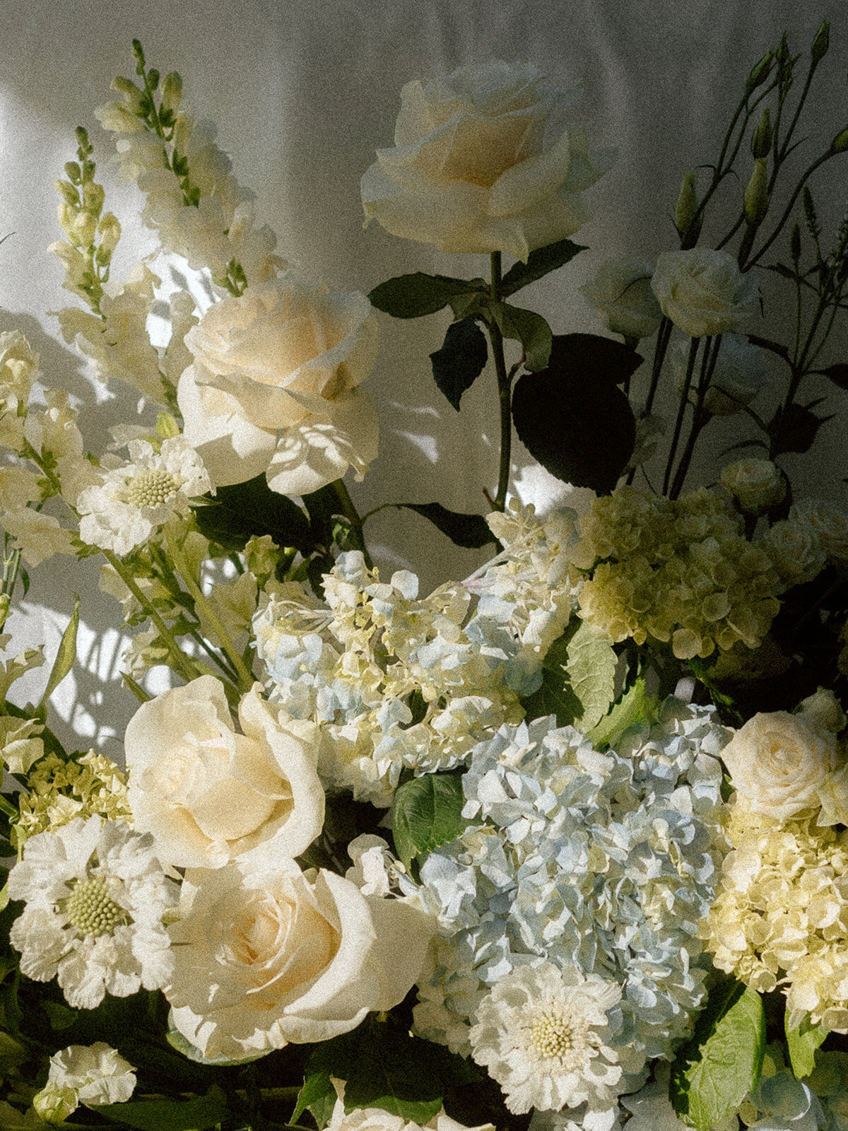 Cassidy-Shawn-Delta-Italian-Inspired-Wedding-BC-404_websize