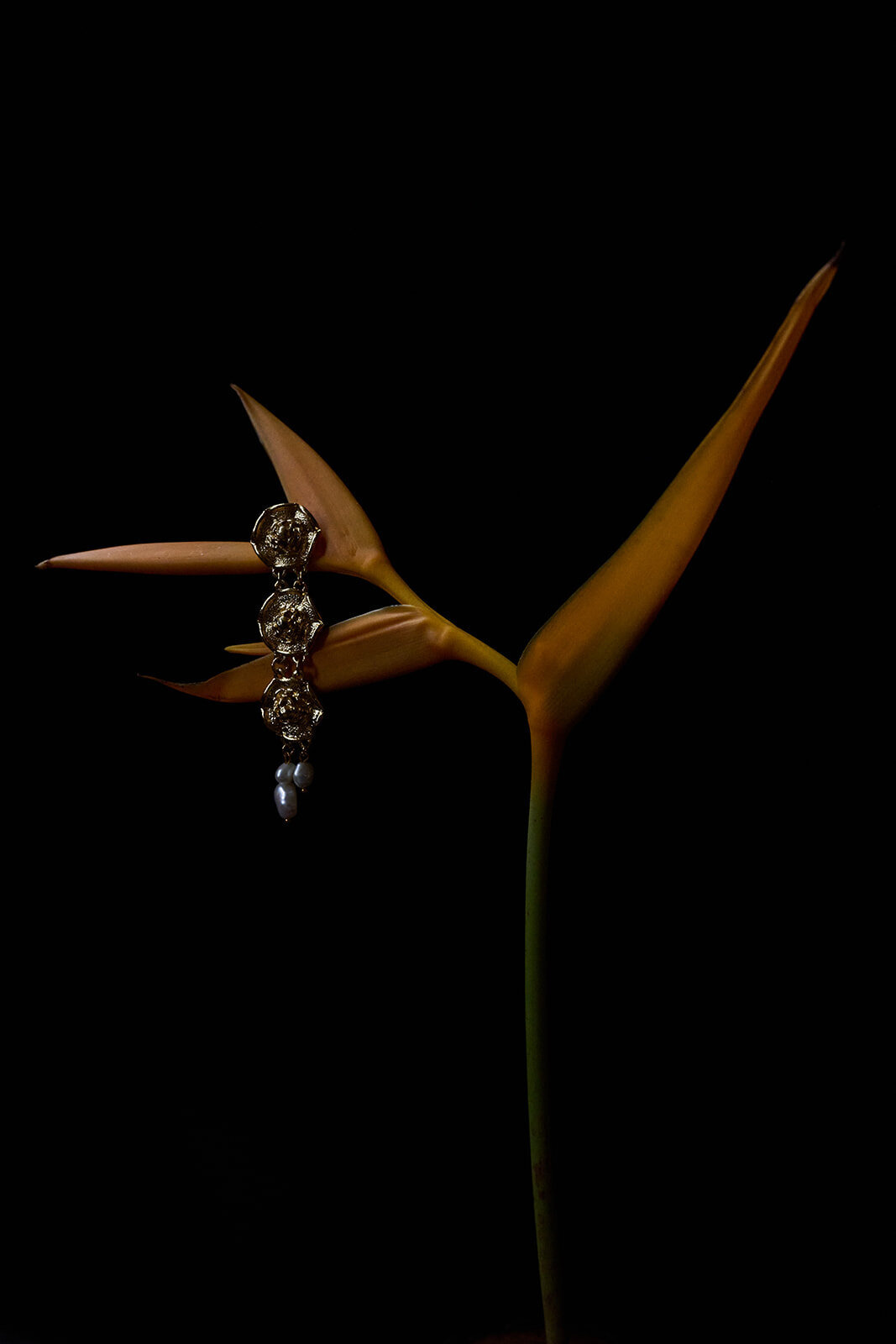 An earring with pearls by Balyck Jewellery on a plant in front of a black backdrop