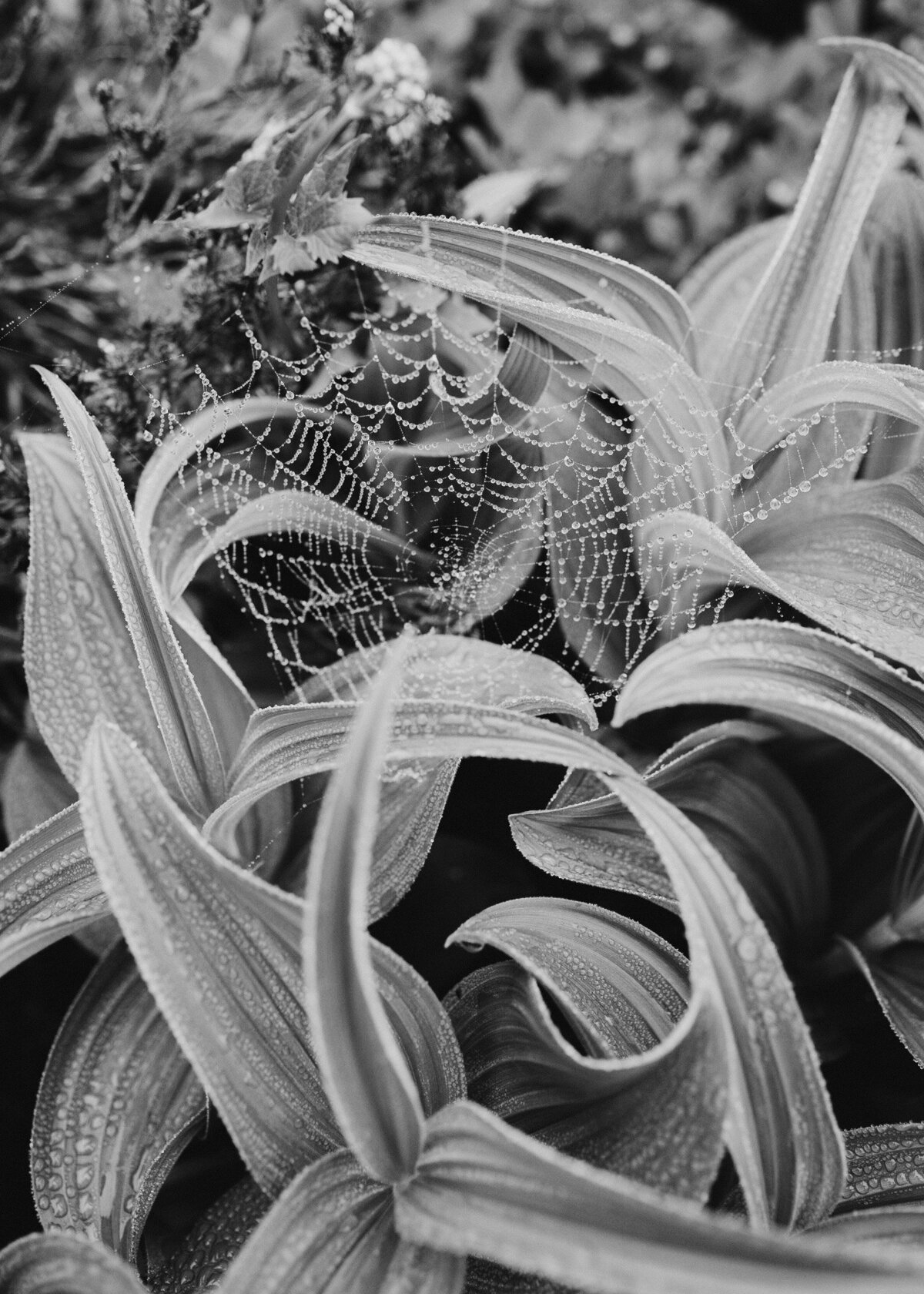KEB_0589
