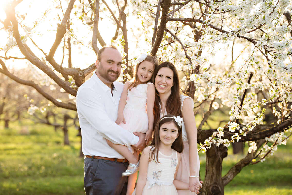 Dad holding his daughter and mom and older daughter standing in the white cherry blossoms for their Burlington Family Photos