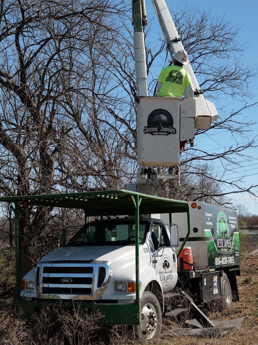 Jesse-James-Tree-Service-Kearney-MO-42