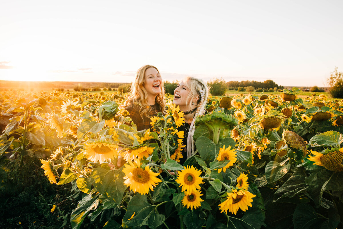 Bowden Sunflowers Photography (8)