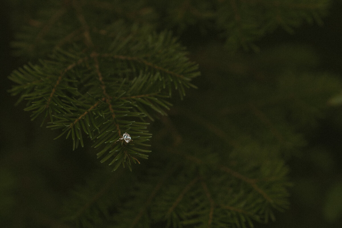 ankebi-photography-1-14